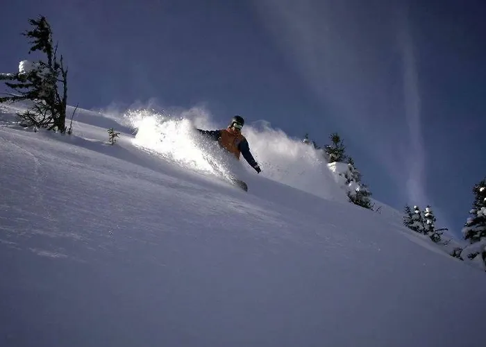 Appartement Spielberg Leogang